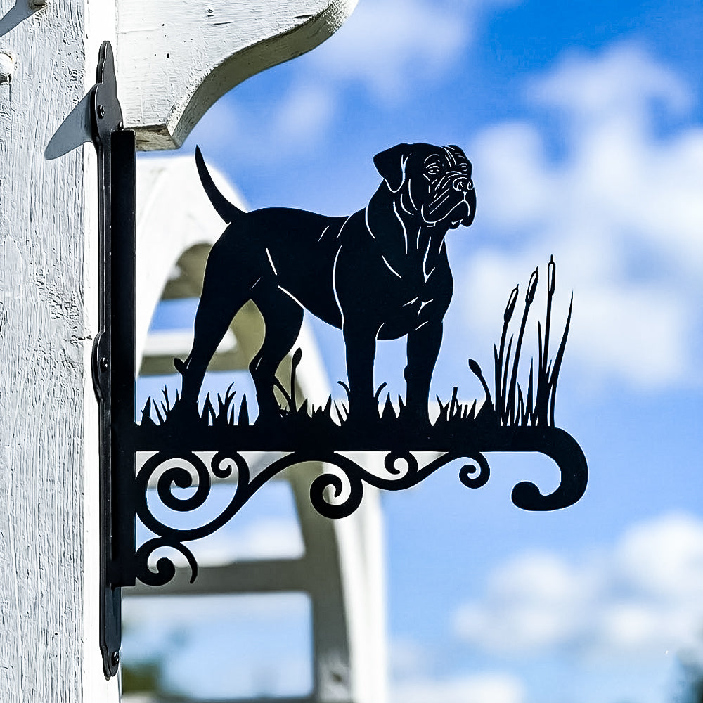 Boerboel metal hanging basket bracket mounted on outdoor wall for plant decoration