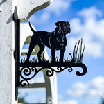 Boerboel metal hanging basket bracket mounted on outdoor wall for plant decoration