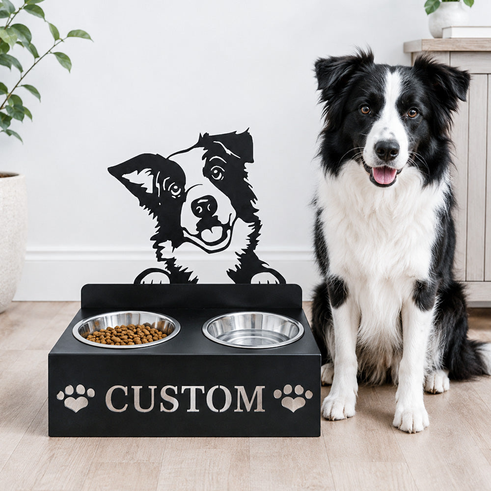 Personalized border collie metal dog bowl stand with custom name cutout and two removable feeding bowls