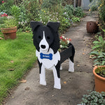 Border Collie dog planter filled with fresh flowers is placed in the garden