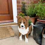 Border Collie dog planter filled with fresh flowers is placed in the garden