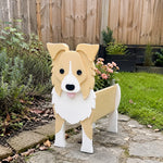 Border Collie dog planter filled with fresh flowers is placed in the garden