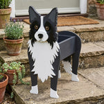 Border Collie dog planter filled with fresh flowers is placed in the garden