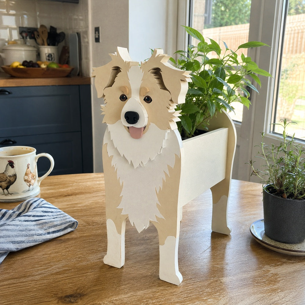 Border Collie dog planter filled with fresh flowers is placed on the table