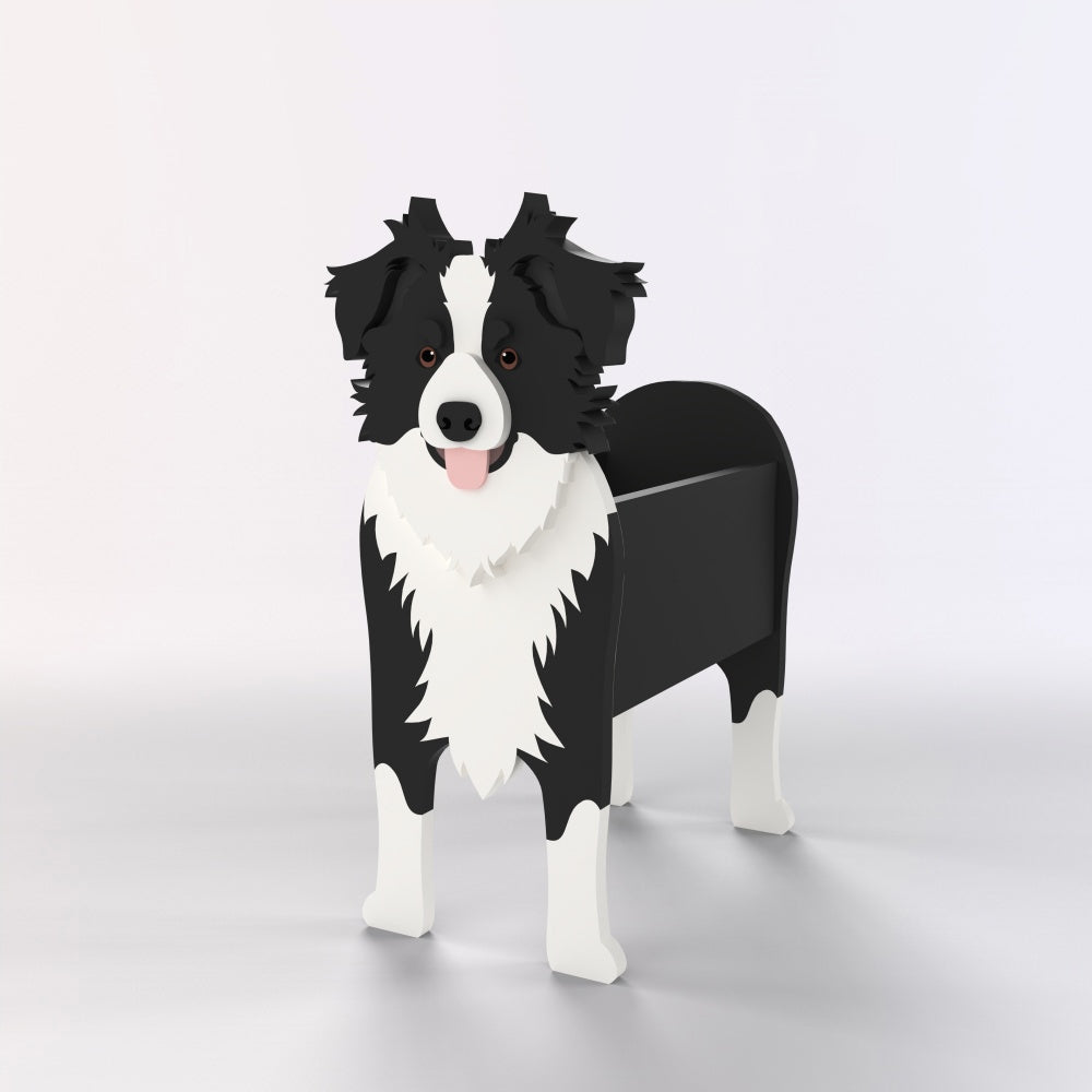 Full-body view of the Border Collie flower pot