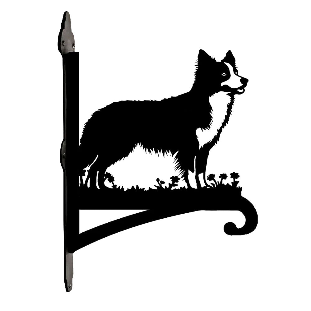 Border collie metal hanging basket bracket mounted on outdoor wall for plant decoration