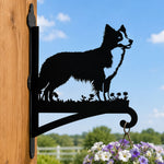 Border collie metal hanging basket bracket mounted on outdoor wall for plant decoration
