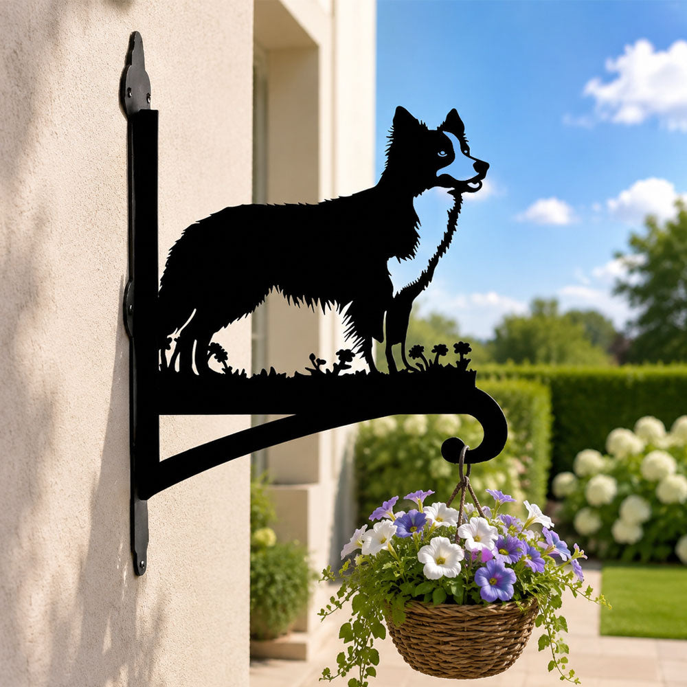 Border collie metal hanging basket bracket mounted on outdoor wall for plant decoration