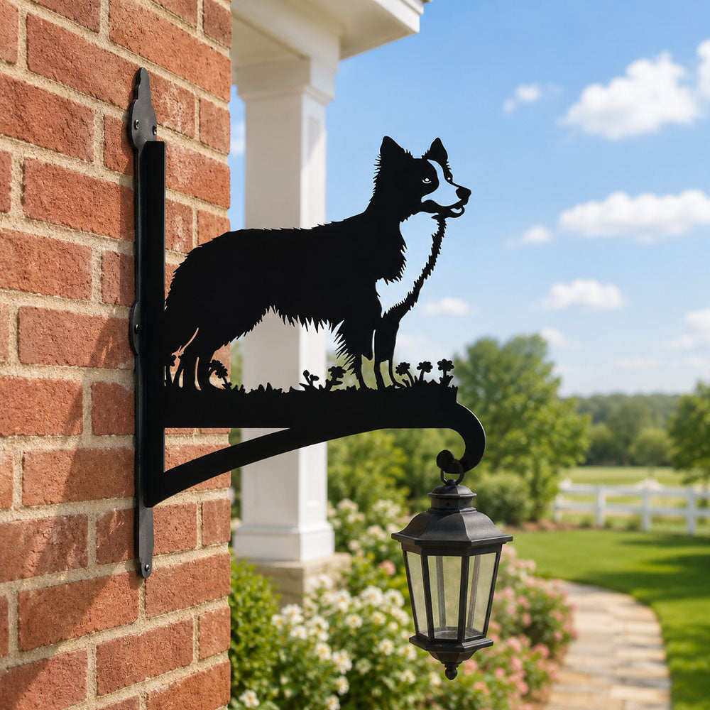 Border collie metal hanging basket bracket mounted on outdoor wall for plant decoration