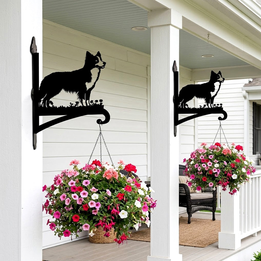 Border collie metal hanging basket bracket mounted on outdoor wall for plant decoration