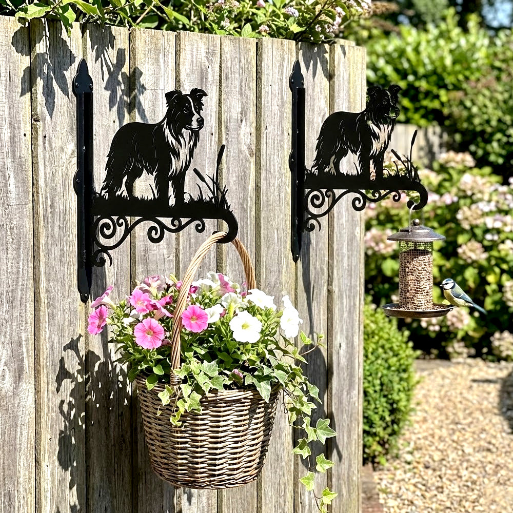 Border collie metal hanging basket bracket mounted on outdoor wall for plant decoration
