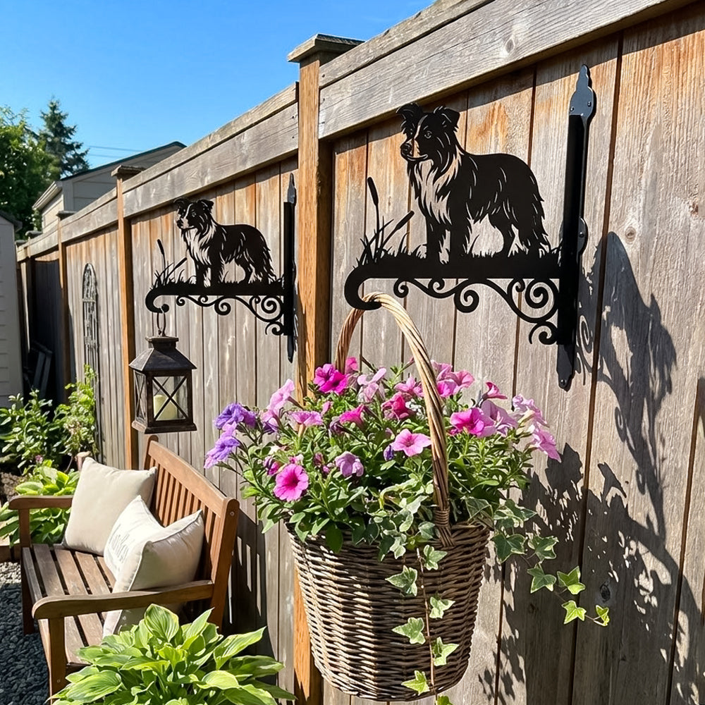 Border collie metal hanging basket bracket mounted on outdoor wall for plant decoration