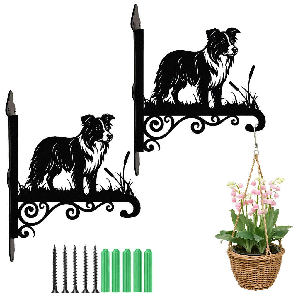 Border collie metal hanging basket bracket mounted on outdoor wall for plant decoration