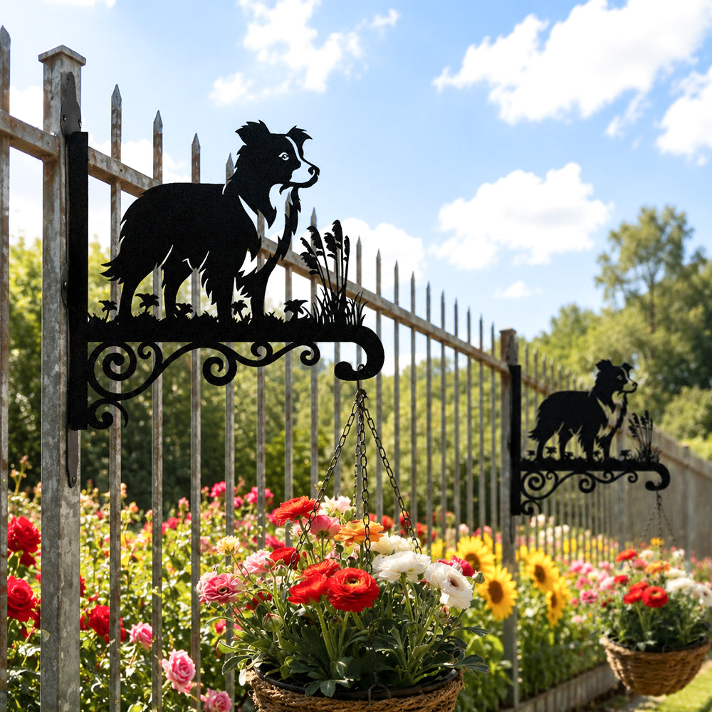 Border collie metal hanging basket bracket mounted on outdoor wall for plant decoration