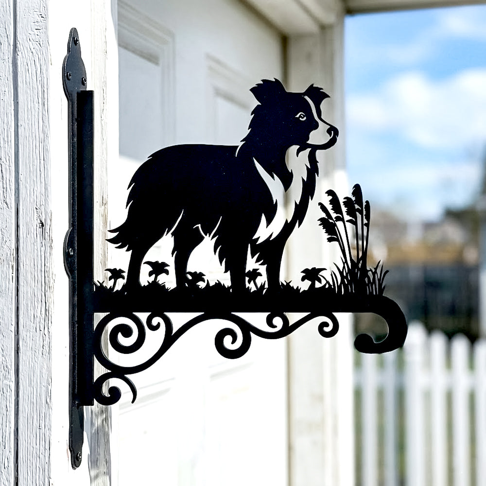 Border collie metal hanging basket bracket mounted on outdoor wall for plant decoration
