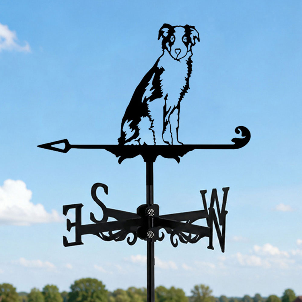 Border Collie metal weather vane with directional arrows and mounting rod, outdoor roof and garden decoration
