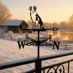 Border Collie metal weather vane with directional arrows and mounting rod, outdoor roof and garden decoration
