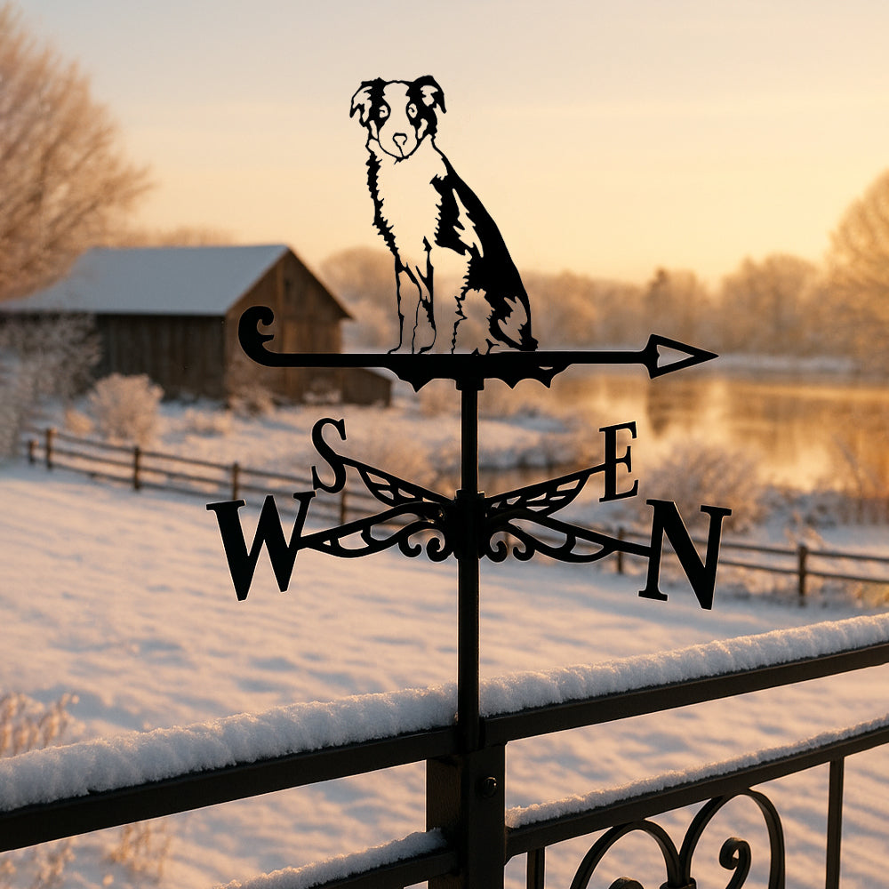 Border Collie metal weather vane with directional arrows and mounting rod, outdoor roof and garden decoration