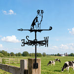 Border Collie metal weather vane with directional arrows and mounting rod, outdoor roof and garden decoration