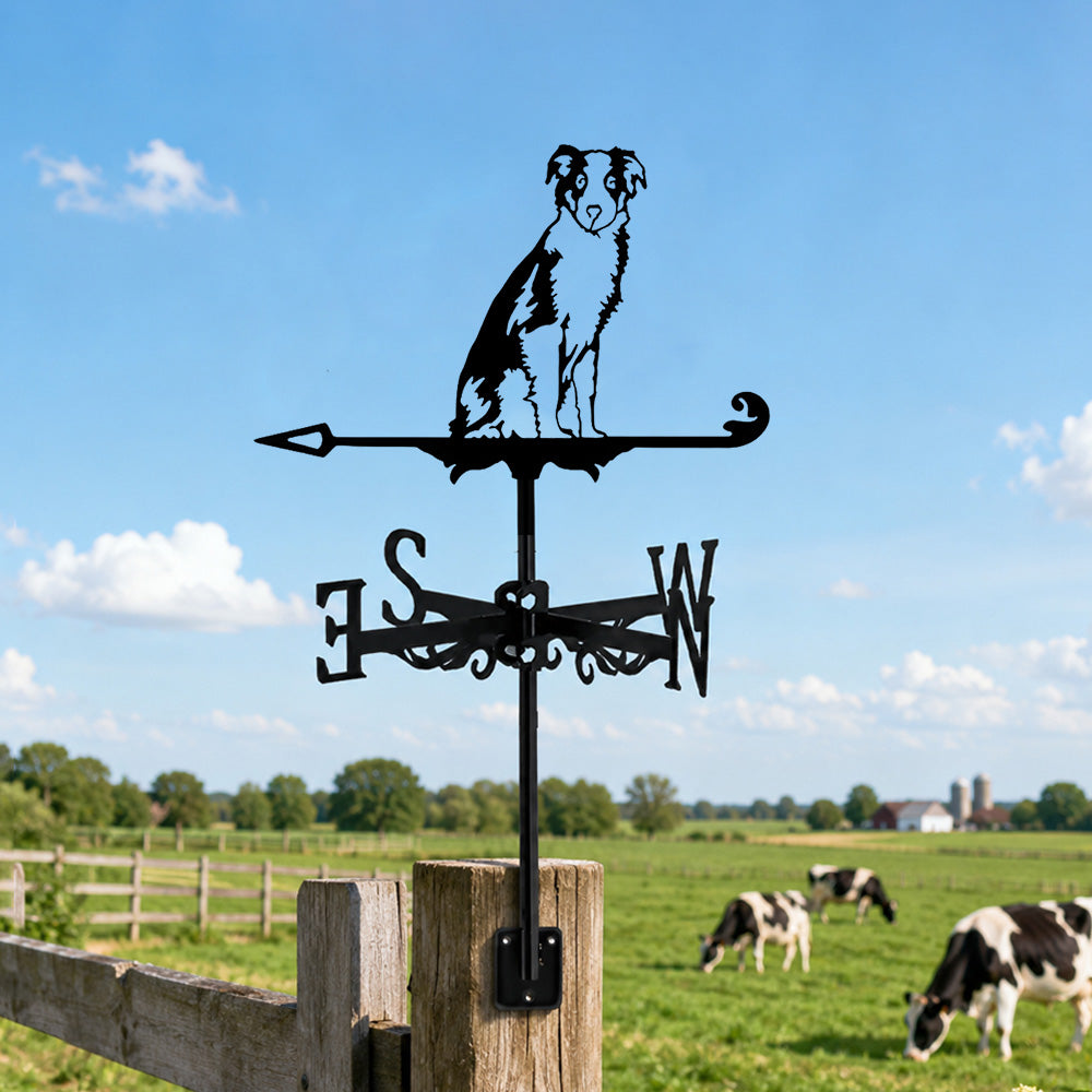 Border Collie metal weather vane with directional arrows and mounting rod, outdoor roof and garden decoration