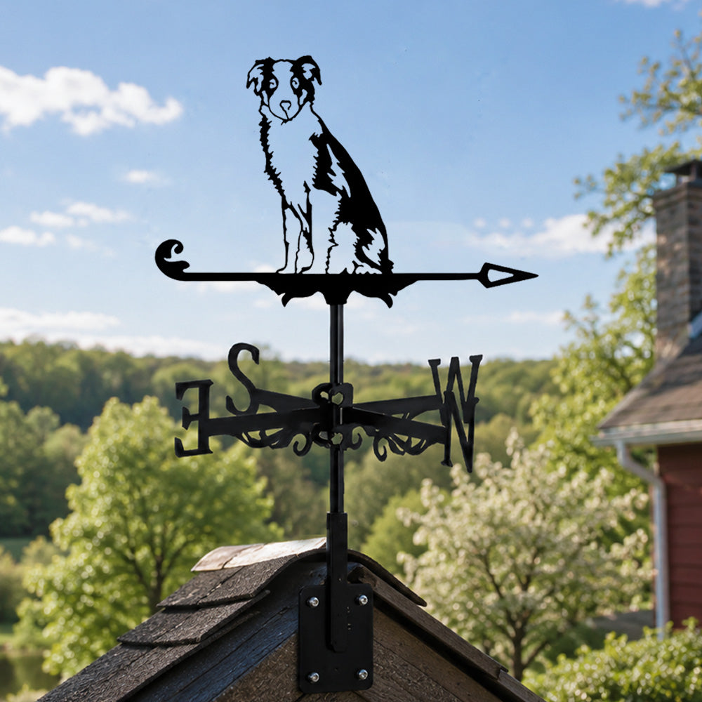 Border Collie metal weather vane with directional arrows and mounting rod, outdoor roof and garden decoration