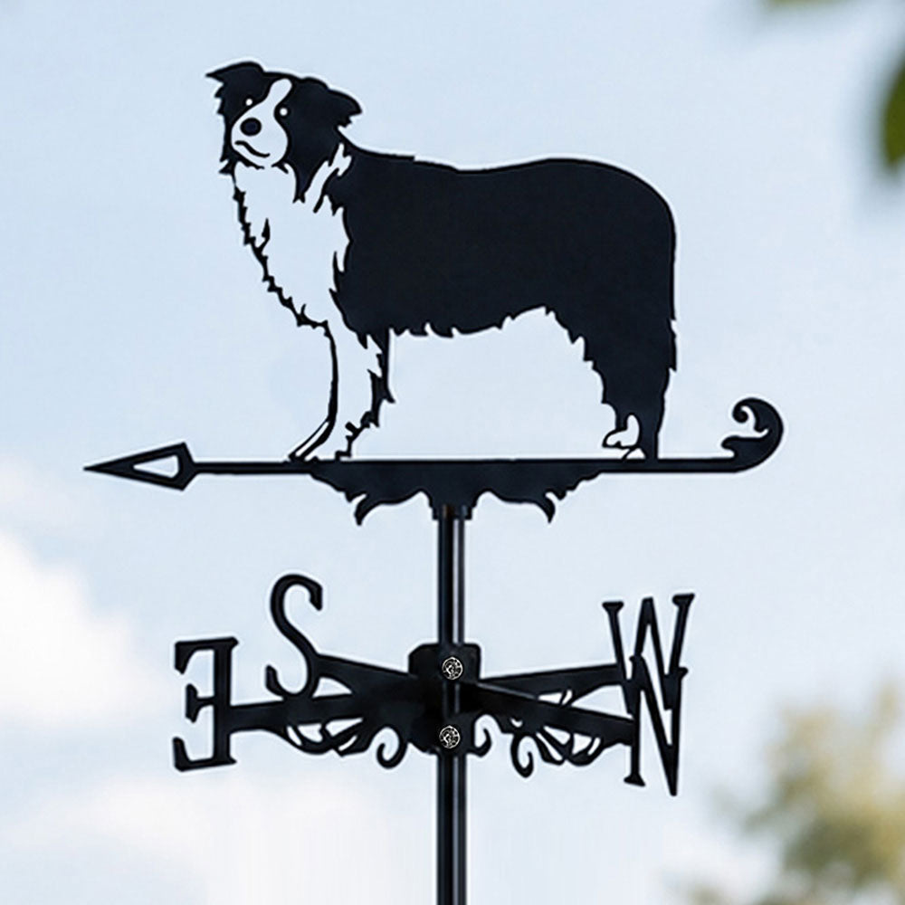 Border Collie metal weather vane with directional arrows and mounting rod, outdoor roof and garden decoration