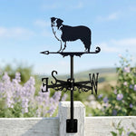 Border Collie metal weather vane with directional arrows and mounting rod, outdoor roof and garden decoration