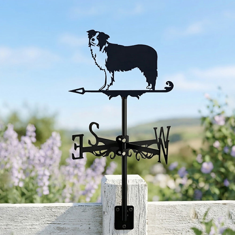 Border Collie metal weather vane with directional arrows and mounting rod, outdoor roof and garden decoration