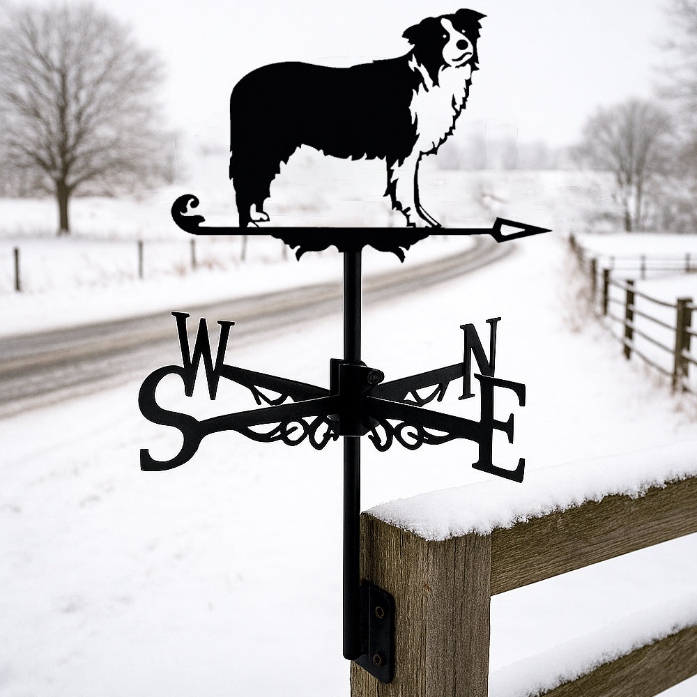 Border Collie metal weather vane with directional arrows and mounting rod, outdoor roof and garden decoration