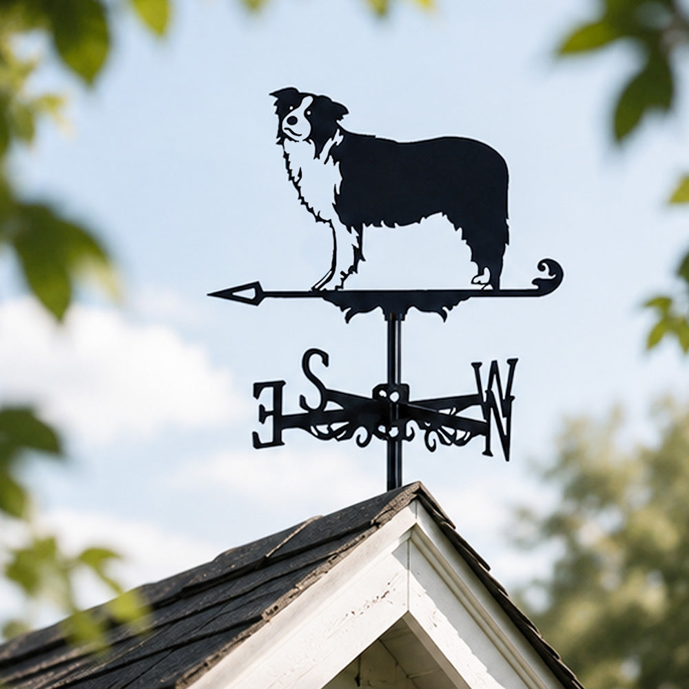 Border Collie metal weather vane with directional arrows and mounting rod, outdoor roof and garden decoration
