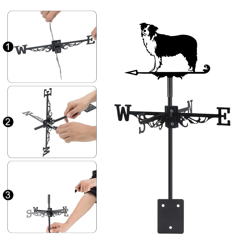 Border Collie metal weather vane with directional arrows and mounting rod, outdoor roof and garden decoration