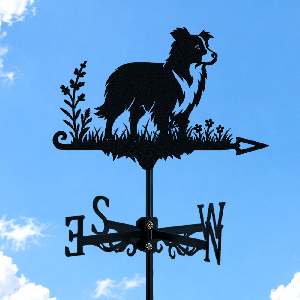 Border Collie metal weather vane with directional arrows and mounting rod, outdoor roof and garden decoration