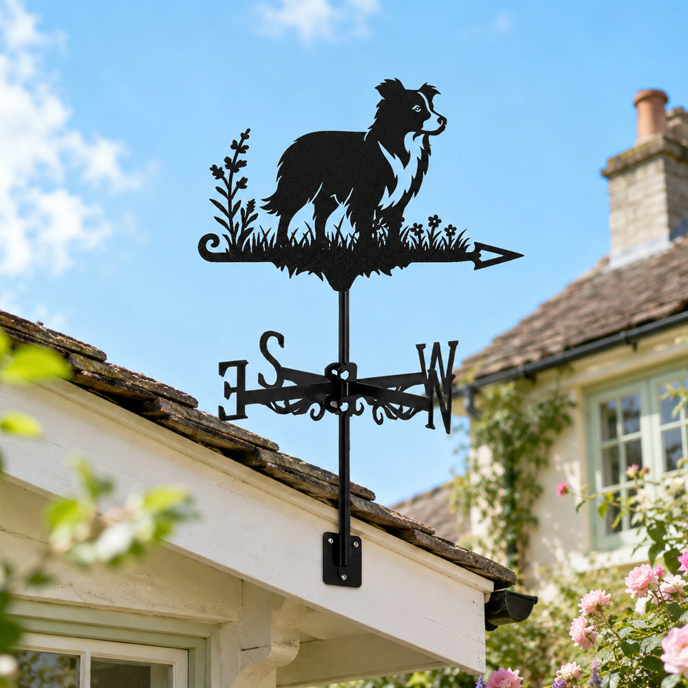 Border Collie metal weather vane with directional arrows and mounting rod, outdoor roof and garden decoration