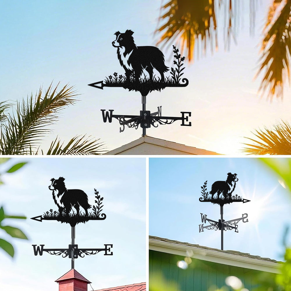 Border Collie metal weather vane with directional arrows and mounting rod, outdoor roof and garden decoration