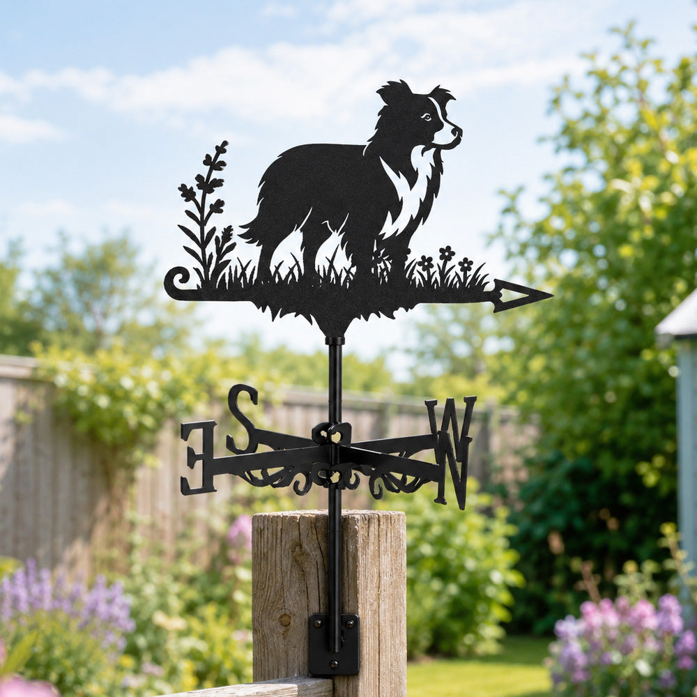 Border Collie metal weather vane with directional arrows and mounting rod, outdoor roof and garden decoration