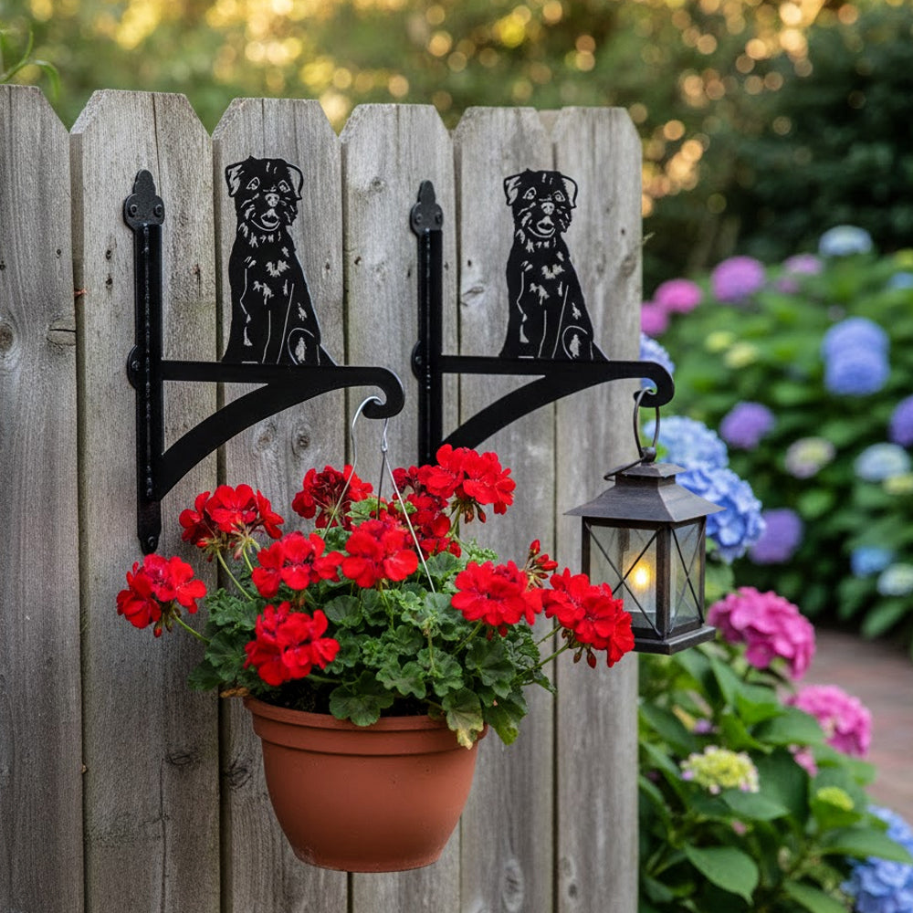 Border terrier metal hanging basket bracket mounted on outdoor wall for plant decoration