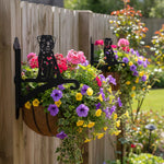 Border terrier metal hanging basket bracket mounted on outdoor wall for plant decoration