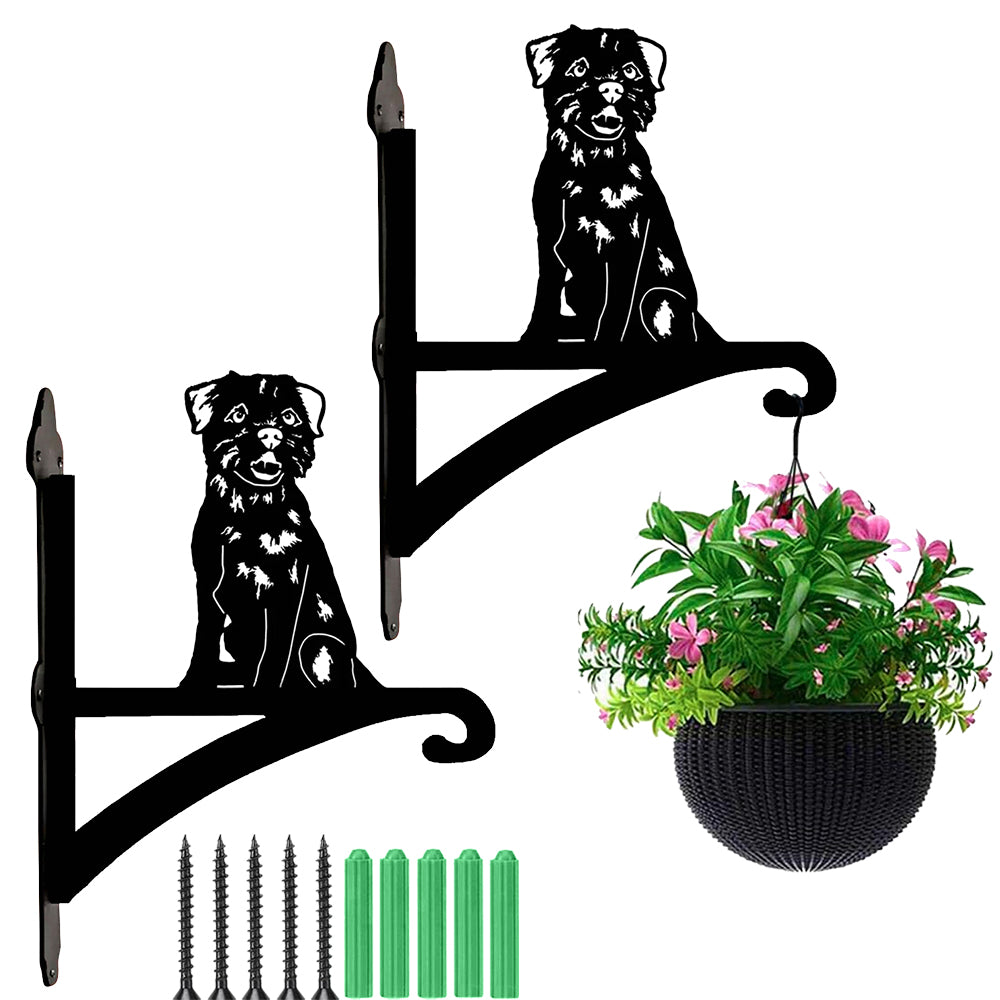 Border terrier metal hanging basket bracket mounted on outdoor wall for plant decoration