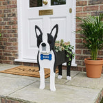 Boston Terrier dog planter filled with fresh flowers is placed in the garden