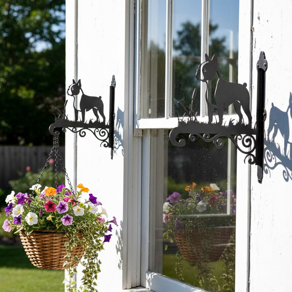 Boston terrier metal hanging basket bracket mounted on outdoor wall for plant decoration