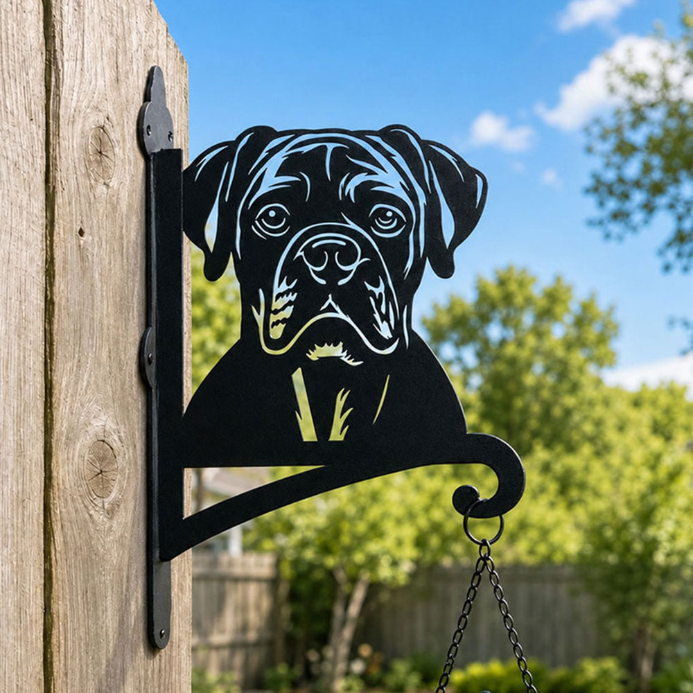 Boxer metal hanging basket bracket mounted on outdoor wall for plant decoration