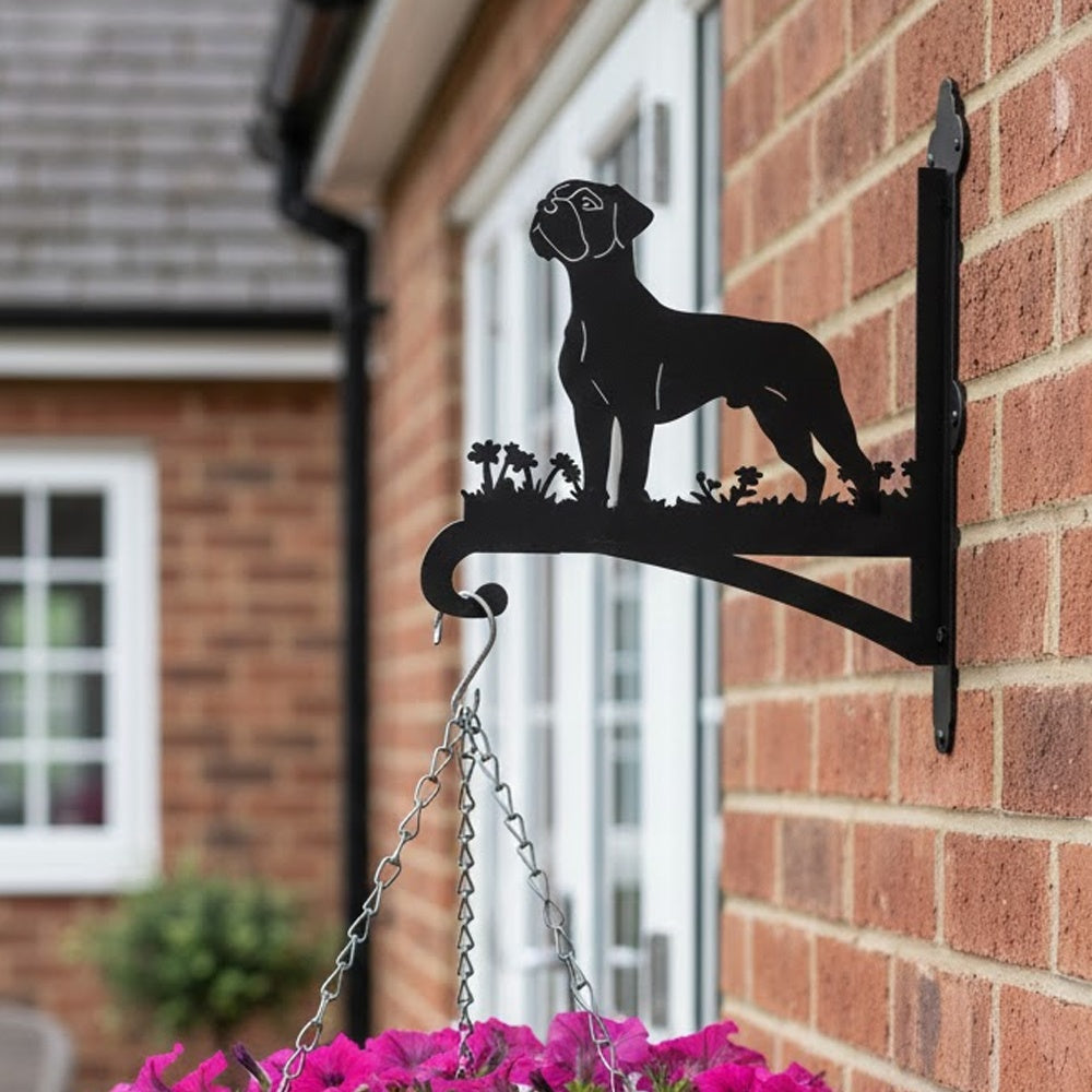 Boxer metal hanging basket bracket mounted on outdoor wall for plant decoration