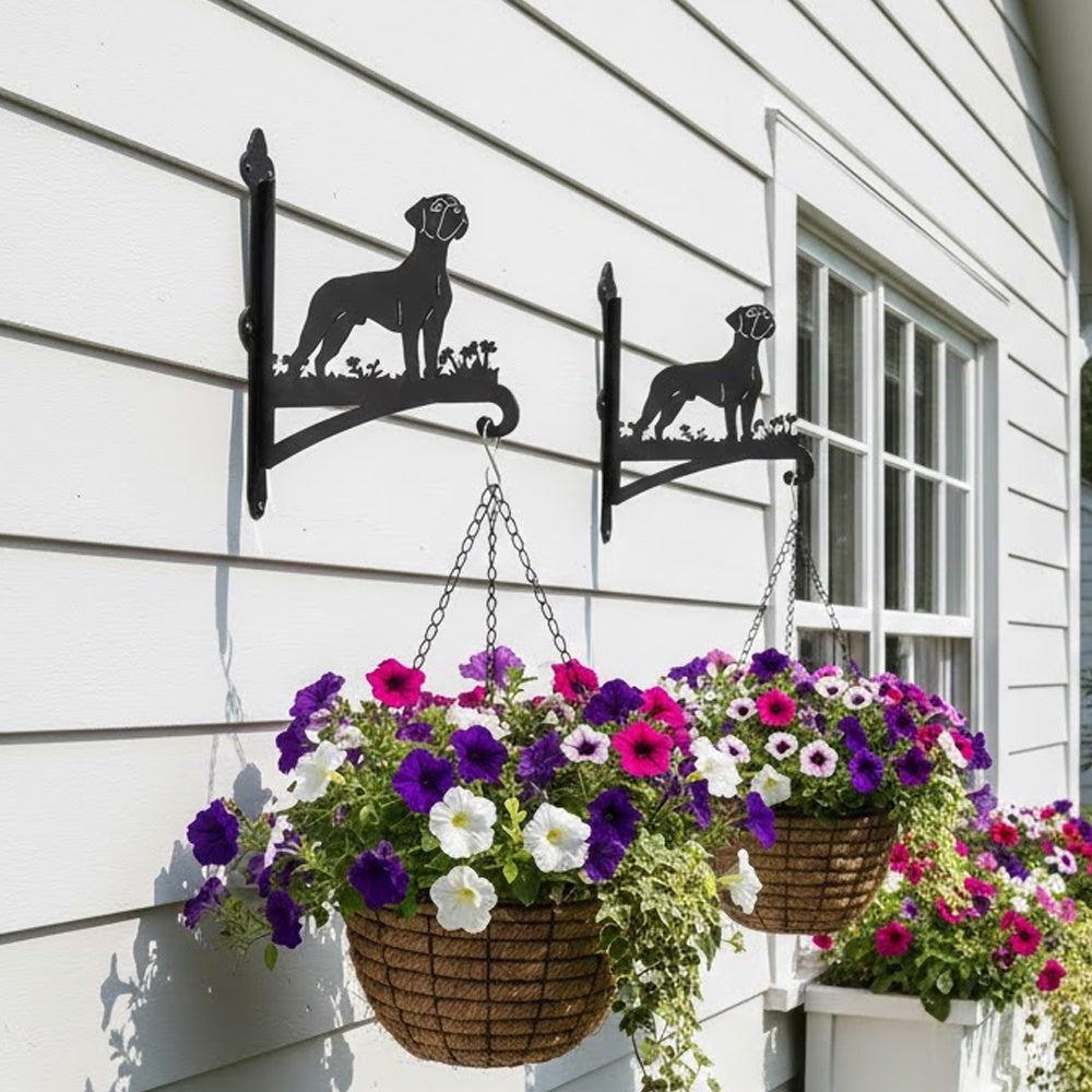 Boxer metal hanging basket bracket mounted on outdoor wall for plant decoration