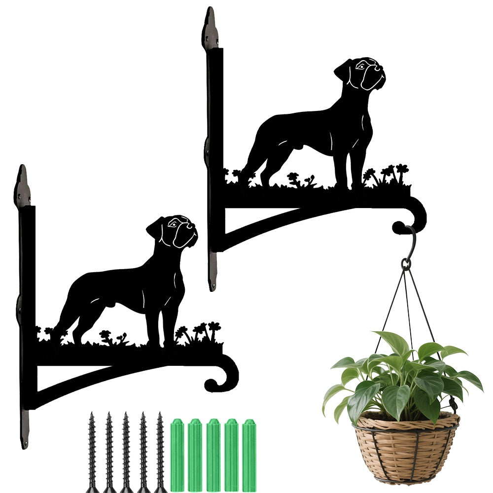 Boxer metal hanging basket bracket mounted on outdoor wall for plant decoration