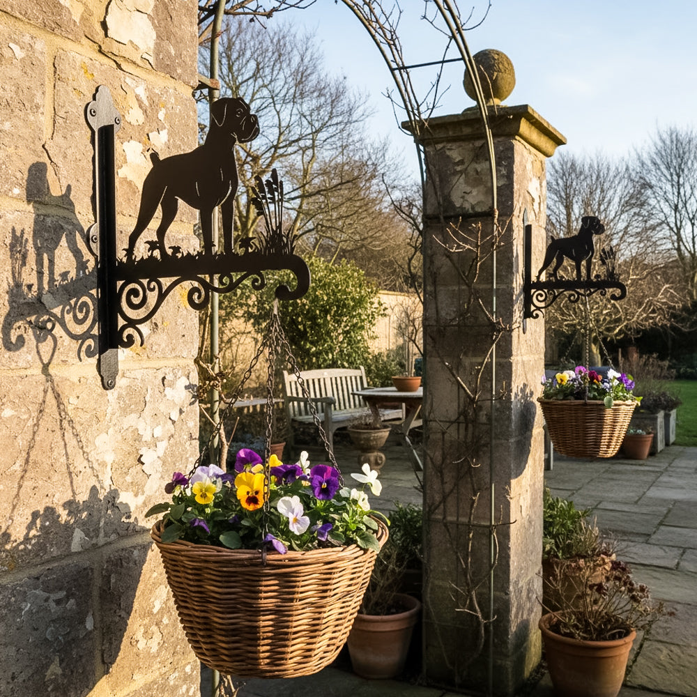Boxer metal hanging basket bracket mounted on outdoor wall for plant decoration