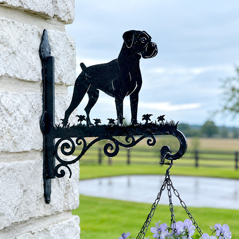 Boxer metal hanging basket bracket mounted on outdoor wall for plant decoration