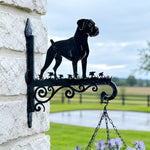 Boxer metal hanging basket bracket mounted on outdoor wall for plant decoration