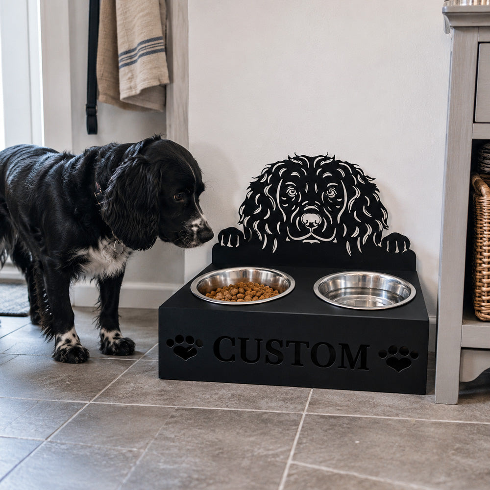 Personalized boykin spaniel metal dog bowl stand with custom name cutout and two removable feeding bowls