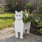 British shorthair cat planter filled with fresh flowers is placed in the garden