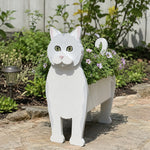 British shorthair cat planter filled with fresh flowers is placed in the garden